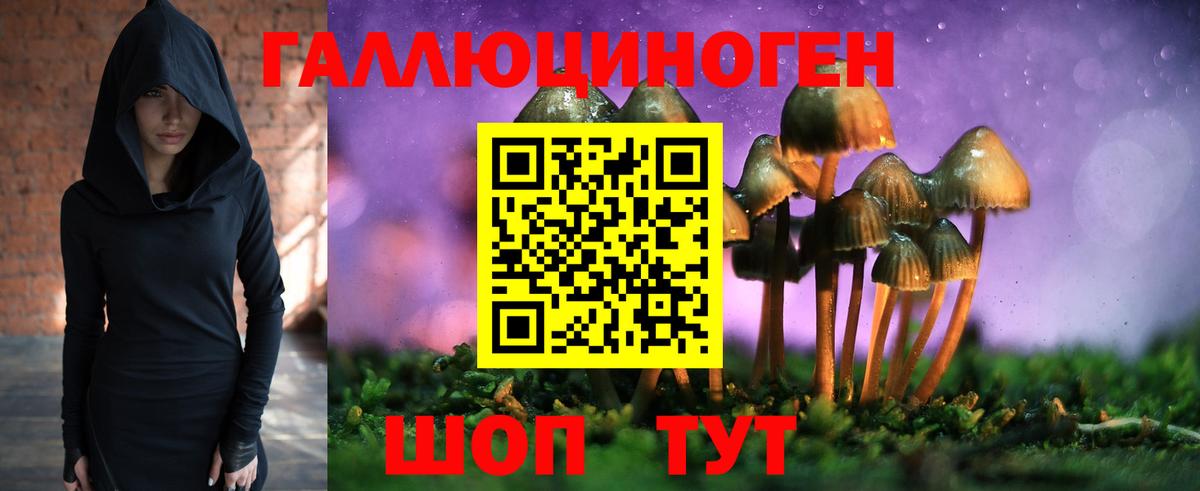 Псилоцибиновые грибы мухоморы  Вход с VPN  Псилоцибиновые грибы MAGIC MUSHROOMS  Карпинск 
